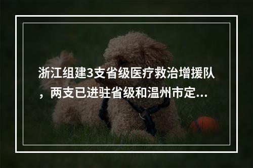 浙江组建3支省级医疗救治增援队，两支已进驻省级和温州市定点医院