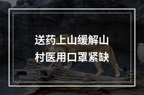 送药上山缓解山村医用口罩紧缺