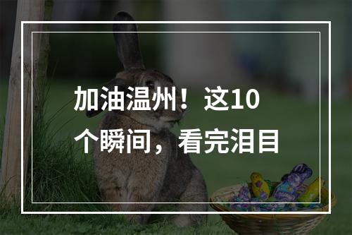 加油温州！这10个瞬间，看完泪目