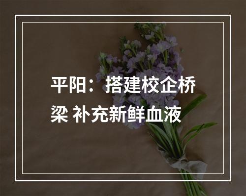 平阳：搭建校企桥梁 补充新鲜血液