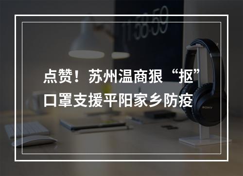 点赞！苏州温商狠“抠”口罩支援平阳家乡防疫