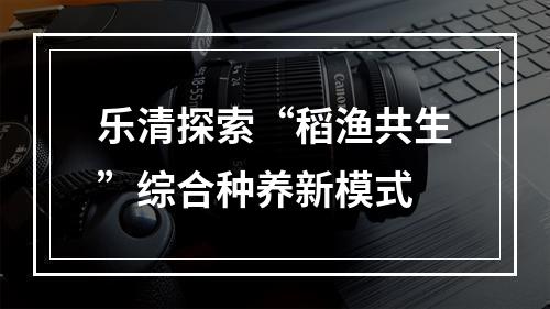 乐清探索“稻渔共生”综合种养新模式