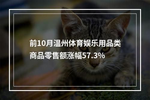 前10月温州体育娱乐用品类商品零售额涨幅57.3%