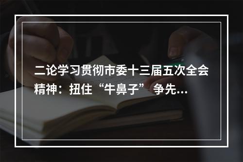 二论学习贯彻市委十三届五次全会精神：扭住“牛鼻子” 争先求突破