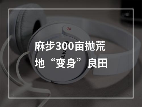 麻步300亩抛荒地“变身”良田