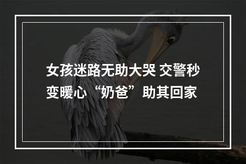 女孩迷路无助大哭 交警秒变暖心“奶爸”助其回家