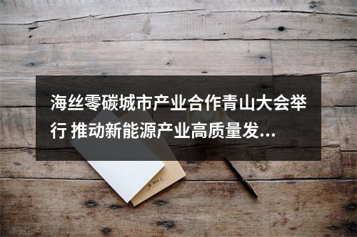 海丝零碳城市产业合作青山大会举行 推动新能源产业高质量发展