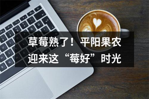 草莓熟了！平阳果农迎来这“莓好”时光