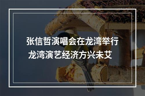 张信哲演唱会在龙湾举行 龙湾演艺经济方兴未艾