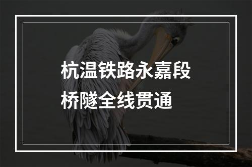 杭温铁路永嘉段桥隧全线贯通