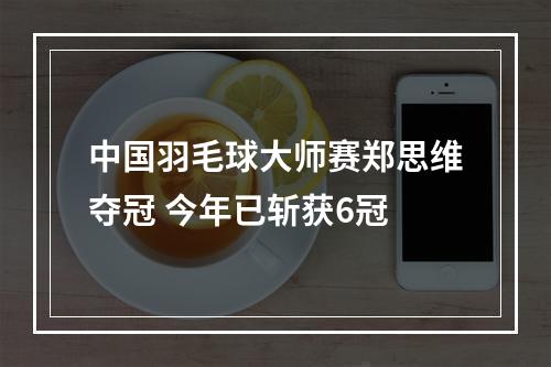 中国羽毛球大师赛郑思维夺冠 今年已斩获6冠