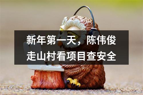 新年第一天，陈伟俊走山村看项目查安全
