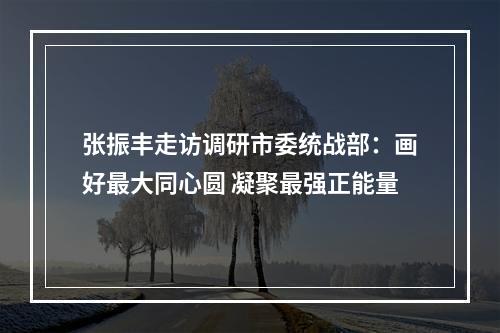 张振丰走访调研市委统战部：画好最大同心圆 凝聚最强正能量