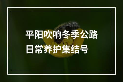 平阳吹响冬季公路日常养护集结号