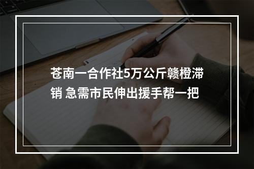 苍南一合作社5万公斤赣橙滞销 急需市民伸出援手帮一把