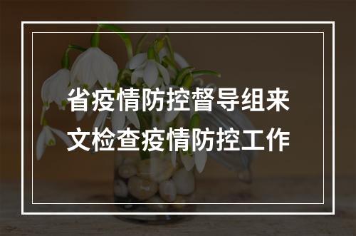 省疫情防控督导组来文检查疫情防控工作