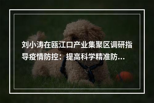刘小涛在瓯江口产业集聚区调研指导疫情防控：提高科学精准防控能力和水平