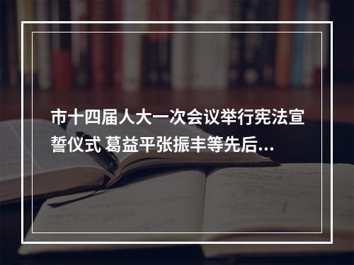 市十四届人大一次会议举行宪法宣誓仪式 葛益平张振丰等先后宣誓