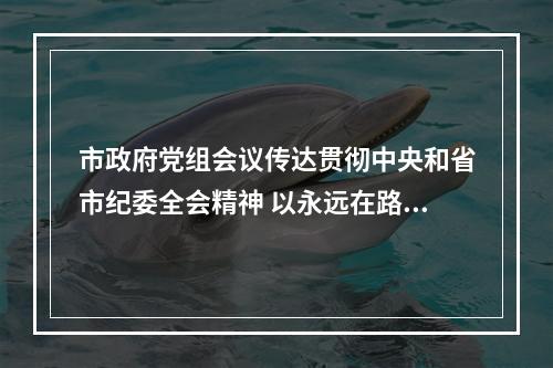 市政府党组会议传达贯彻中央和省市纪委全会精神 以永远在路上的执着推进廉洁政府建设