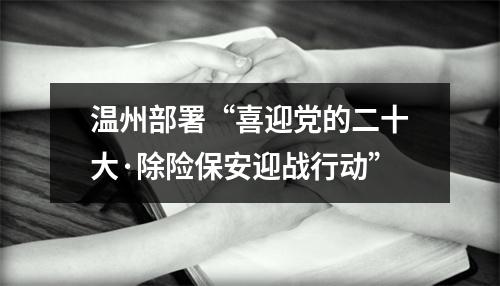 温州部署“喜迎党的二十大·除险保安迎战行动”