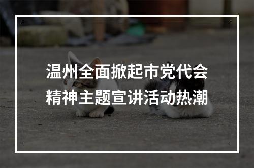 温州全面掀起市党代会精神主题宣讲活动热潮