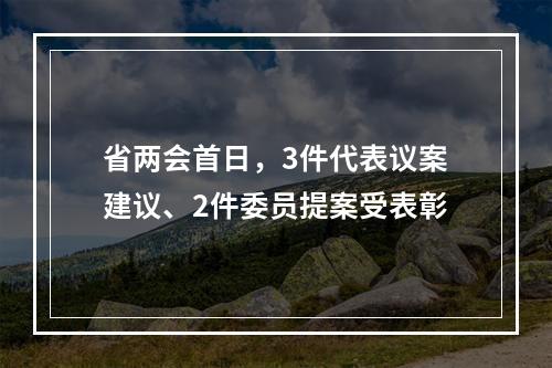 省两会首日，3件代表议案建议、2件委员提案受表彰