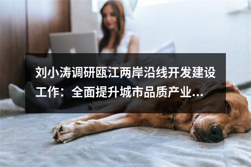 刘小涛调研瓯江两岸沿线开发建设工作：全面提升城市品质产业品质生活品质