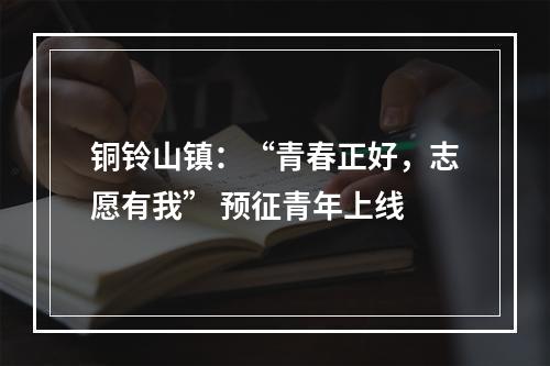 铜铃山镇：“青春正好，志愿有我” 预征青年上线