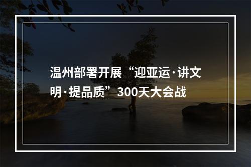 温州部署开展“迎亚运·讲文明·提品质”300天大会战