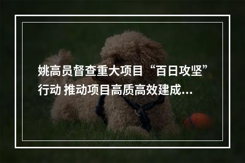 姚高员督查重大项目“百日攻坚”行动 推动项目高质高效建成见效
