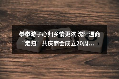 拳拳游子心归乡情更浓 沈阳温商“走归”共庆商会成立20周年