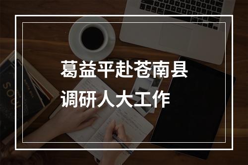 葛益平赴苍南县调研人大工作