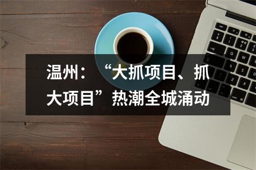 温州：“大抓项目、抓大项目”热潮全城涌动
