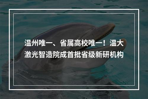 温州唯一、省属高校唯一！温大激光智造院成首批省级新研机构