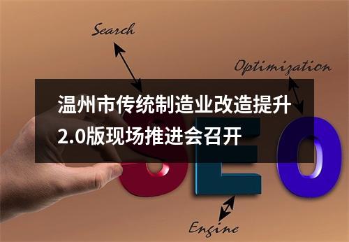 温州市传统制造业改造提升2.0版现场推进会召开