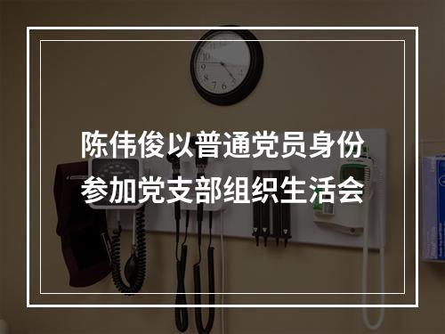 陈伟俊以普通党员身份参加党支部组织生活会