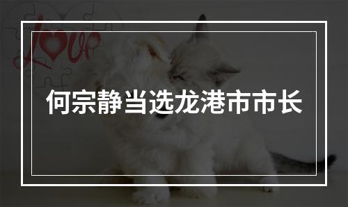 何宗静当选龙港市市长