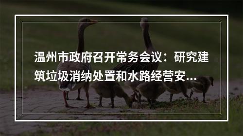 温州市政府召开常务会议：研究建筑垃圾消纳处置和水路经营安全治理工作