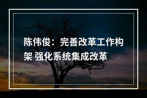 陈伟俊：完善改革工作构架 强化系统集成改革