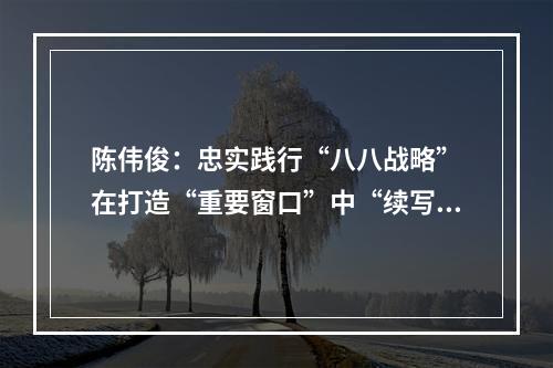 陈伟俊：忠实践行“八八战略”　在打造“重要窗口”中“续写创新史”
