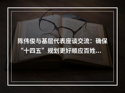 陈伟俊与基层代表座谈交流：确保“十四五”规划更好顺应百姓期待