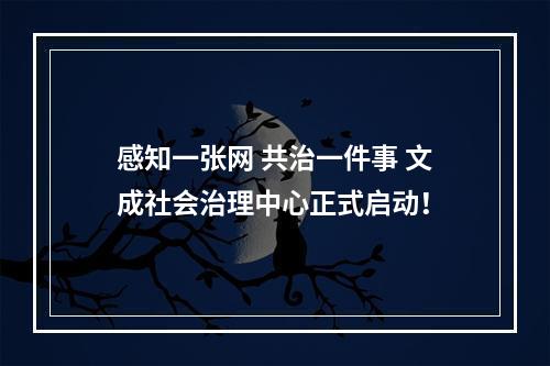 感知一张网 共治一件事 文成社会治理中心正式启动！