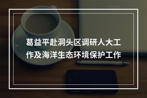 葛益平赴洞头区调研人大工作及海洋生态环境保护工作