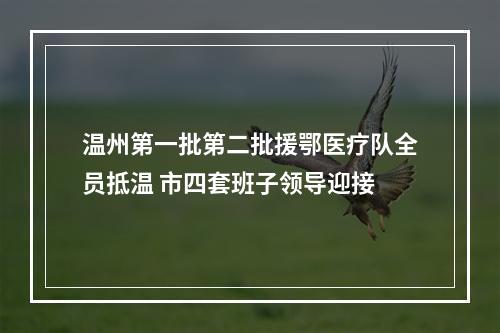 温州第一批第二批援鄂医疗队全员抵温 市四套班子领导迎接