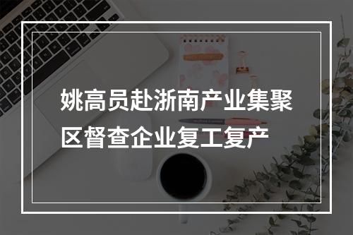 姚高员赴浙南产业集聚区督查企业复工复产