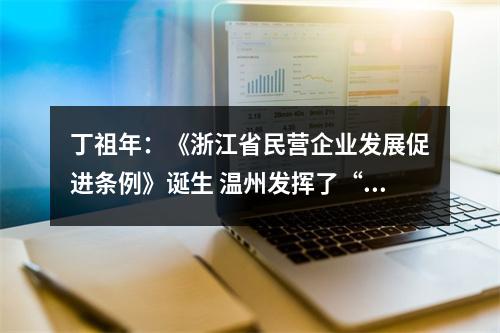 丁祖年：《浙江省民营企业发展促进条例》诞生 温州发挥了“积极而富有价值的作用”