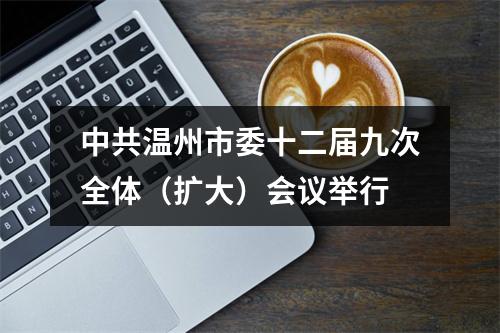 中共温州市委十二届九次全体（扩大）会议举行