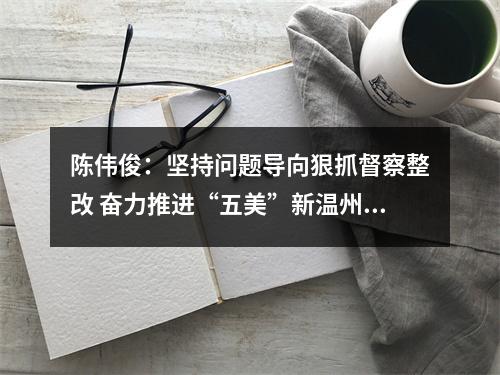 陈伟俊：坚持问题导向狠抓督察整改 奋力推进“五美”新温州建设