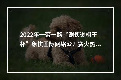 2022年一带一路“谢侠逊棋王杯”象棋国际网络公开赛火热进行中！