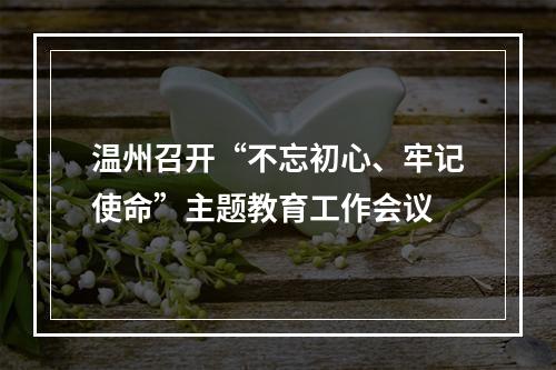 温州召开“不忘初心、牢记使命”主题教育工作会议